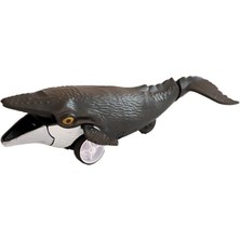 Ergün Collection H-35 16LI Dısplayde Sürtmeli Su Altı Dünyası