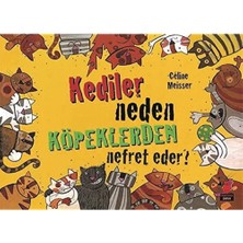 Braventa Collection Kediler Neden Köpeklerden Nefret Eder