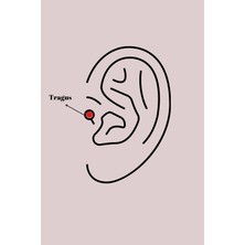 VeraGlobe Buğz 316L Çelik Gümüş Renk Zirkon Taş Detay Pembe Kalp Işleme Tragus Piercing - Buğz