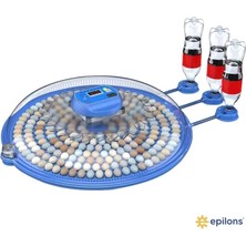 VeraGlobe Buğz 240 Kuş Yumurta Kapasiteli Otomatik Çiftlik Kuluçka Makinesi : Yumurta, Bıldırcın ve Kanatlılar Için MZ-240 ( Buğz )