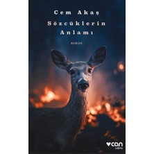 Ergün Collection Sözcüklerin Anlamı