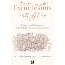 Ergün Collection Evrimleşmiş Yuva