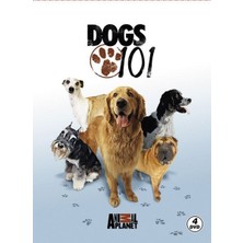 Ergün Collection Dogs 101 - Köpekler