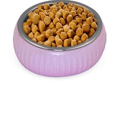 VeraGlobe Buğz Mikopet Organik Seramik Mama Kabı Pembe