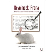 Ergün Collection Beynimdeki Fırtına
