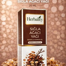 Çare Burada Sığla Ağacı Yağı (20 Ml)