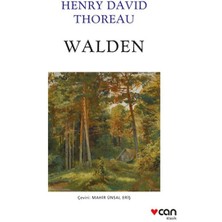 Ergün Collection Walden