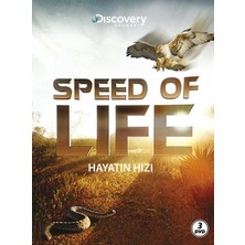 Ergün Collection Speed Of Life - Hayatın Hızı