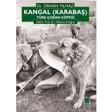 Ergün Collection Kangal (Karabaş) Türk Çoban Köpeği
