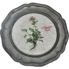 Hasyılmaz Vintage Zınn Çerçeveli Dekoratif Pulmonaria Officinalis Bitkisi Temalı Duvar Tabağı 10CM 007