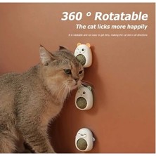 VeraGlobe Buğz Ayıcıklı Kedi Otu Yalama Topu