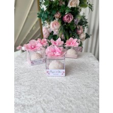 Tatlı Telaşlar Parti ve Organizasyon Evi Top Gül Mini 5x5 Mika Pembe Kutu Süslemeli  Nikah & Nişan Hediyelik - 25 Adet