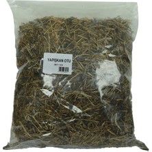 Ergün Collection Yapışkan Otu Doğal 1000 gr Paket