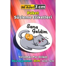 Sb Store Sana Geldim Kedicik Hediye Paket Süsleme Etiketi Model 93 - 96 Adet 3cm