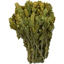 Ergün Collection Adaçayı Akdeniz Yöresi Demet Doğal Dağ Çayı 100 gr Paket