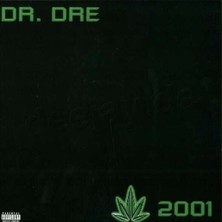 Plak İstasyonu Dr. Dre: 2001 Double Lp Plak