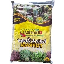 Esranın Dünyası Drenaj Özellikli Kaktüs ve Sukulent Toprağı, 2,5 Lt