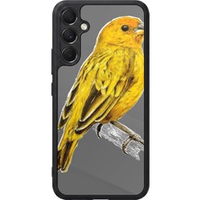 BG AKSESUAR Samsung Galaxy M34 Uyumlu Fenerbahce Tasarımlı Glossy Premium Kılıf