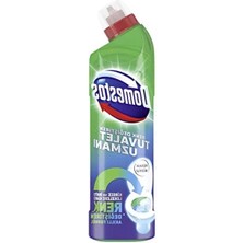 Esranın Dünyası Kireç Çözücü Etkili Renk Değiştiren Tuvalet Temizleyici 750 ml