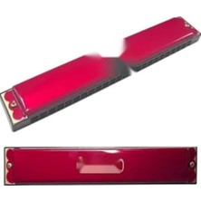 Esranın Dünyası Kırmızı 24 Delikli Profesyonel Mızıka