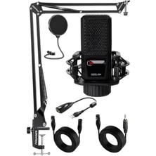Esranın Dünyası Kondenser Mikrofon Standı ve Filtre