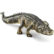 Esranın Dünyası Gerçekçi Amerikan Timsahı Figürü