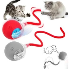 Esranın Dünyası Otomatik Kuyruklu Kedi Oyuncağı, LED Işıklı ve USB Şarjlı