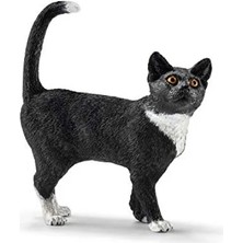 Esranın Dünyası Yaratıcı Oyun Için Ayakta Kedi Figürü