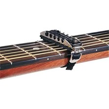 Esranın Dünyası Profesyonel Klasik Gitar ve Bağlama Kaposu