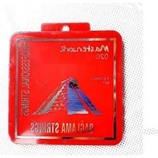 Esranın Dünyası Alman Yapımı 0,20MM Bağlama Teli Takımı