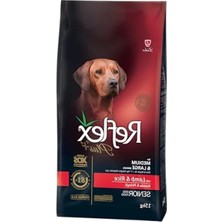 Esranın Dünyası Senior Köpekler Için, Zengin Proteinli, 15 kg Kuru Mama