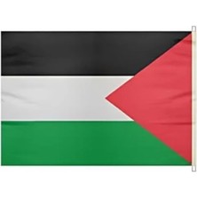 Esranın Dünyası Elde Sallama Bayrağı - Filistin 30X45 cm