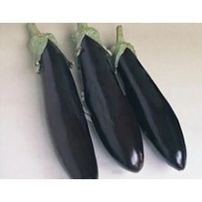 Esranın Dünyası Aydın Patlıcan Tohumu - 10 gr