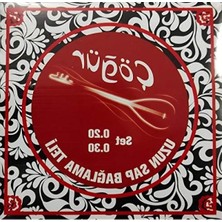 Esranın Dünyası Uzun Sap Saz Teli Seti - 0.20 mm Kalınlık