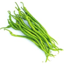 Esranın Dünyası Kıl Tatlı Biber Tohumu - Çoklu Seçenek - 5 Gram