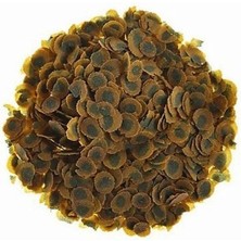 Esranın Dünyası Yetişkin Balık Yemi 100 gr - Kovadan Bölme