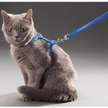 Esranın Dünyası Ayarlanabilir ve Konforlu Kedi Tasması - 110 cm