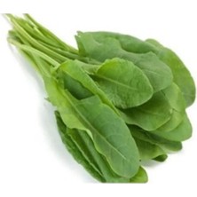 Esranın Dünyası Kuzu Kulağı Tohumu - 5 Gram