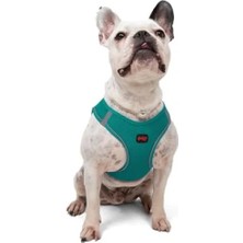 Esranın Dünyası Yumuşak Nefes Alabilir Küçük ve Orta Irk Kedi Köpek Göğüs Tasması - Ayarlanabilir