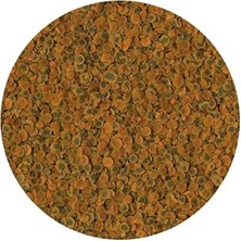 Esranın Dünyası Enerji Artırıcı Balık Yemi 100 gr - Yetişkin Balıklar Için Özel Formül