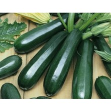 Esranın Dünyası Kolsuz Kara Kabak Tohumu - Sofralık