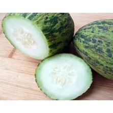 Esranın Dünyası Aksel Kelek Hıdır Tohumu - 10 gr