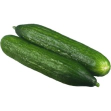 Esranın Dünyası Ithal Beith Alpha Salatalık Tohumu - 5 Gram