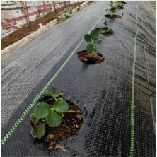 Esranın Dünyası Siyah Renk Jüt Taban Yabani Ot Engelleme Örtüsü - 1 M x 3 M