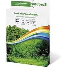 Esranın Dünyası Akvaryum Bitkisi Tohumu - Glossostigma Elatinoides