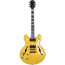 Esranın Dünyası Elektro Gitar - Yüksek Ses Kalitesi