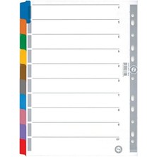 Esranın Dünyası 10 Renkli Karton Ayrac - A4 Boyutunda