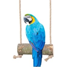 Esranın Dünyası Doğal Ağaç Tünek ve Salıncak - Papağan Kuş Salıncağı