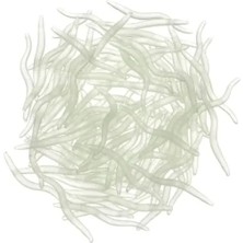 Esranın Dünyası Yapay Silikon Solucan Balık Yemi - 200 Adet, 3.5 Cm, Gerçekçi Görünüm