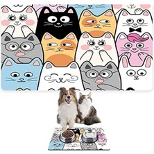 Esranın Dünyası Evcil Hayvan Beslenme Matı - Su Geçirmez ve Kolay Temizlenir (40X60 Cm)